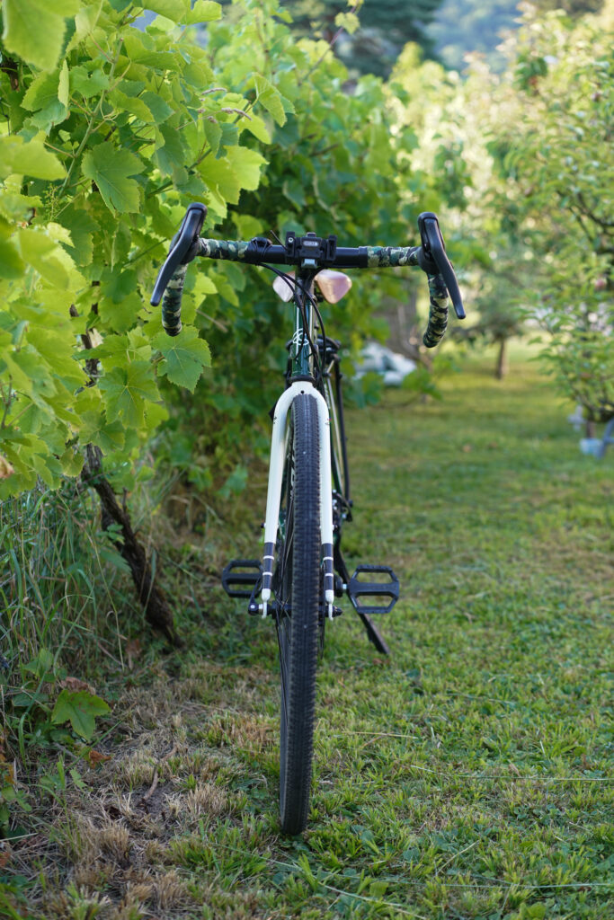 Cinelli Hobootleg Easy Travel frontal fotografiert